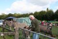 vide grenier CLAAM 2014 007.jpg